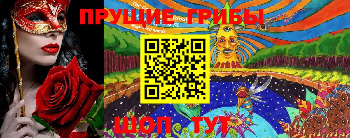 Псилоцибиновые грибы Cubensis  Вход с VPN  купить наркотики сайты  Тихвин 